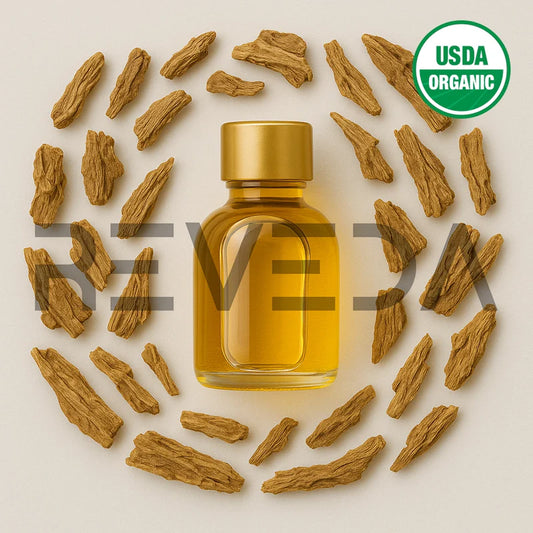 Angelica Root Oil