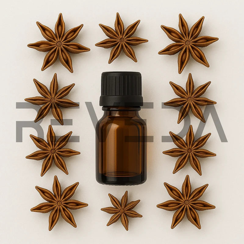 Anise Essential Oil