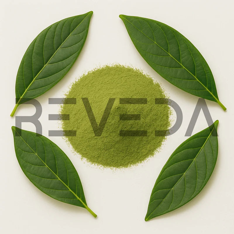 Avocado Leaf Powder