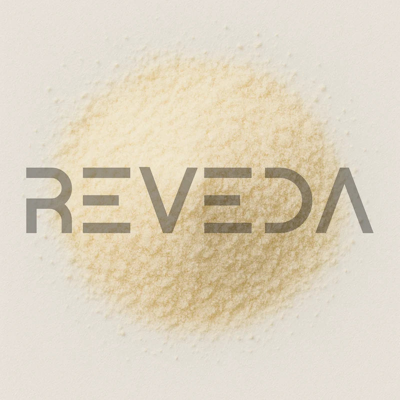 Bacillus Coagulans Probiotic Powder