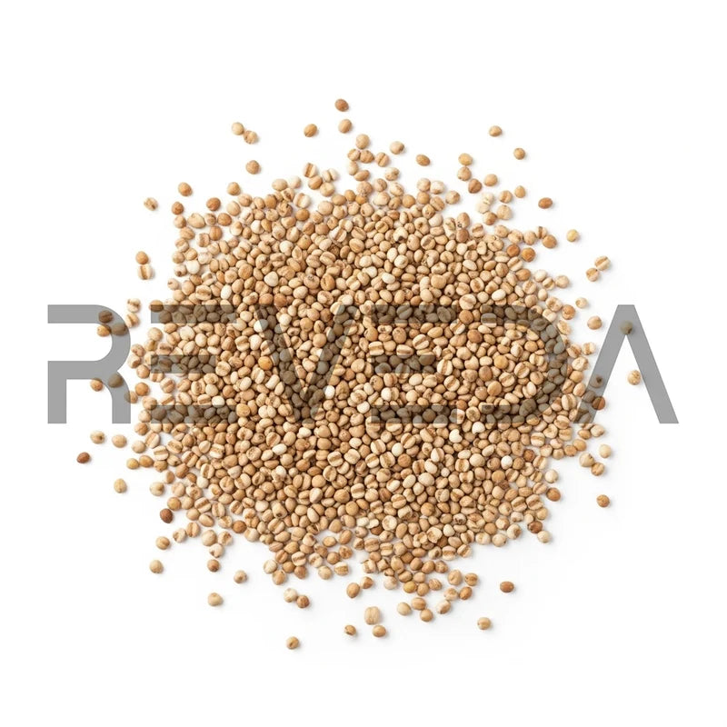 Bajra Millet Seeds