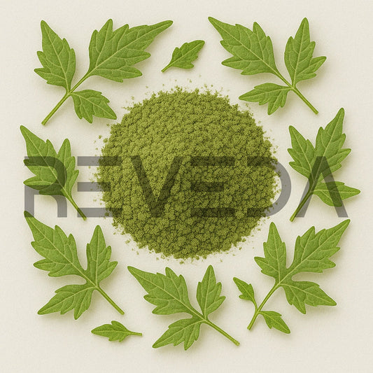 Balloon Vine Leaf Powder