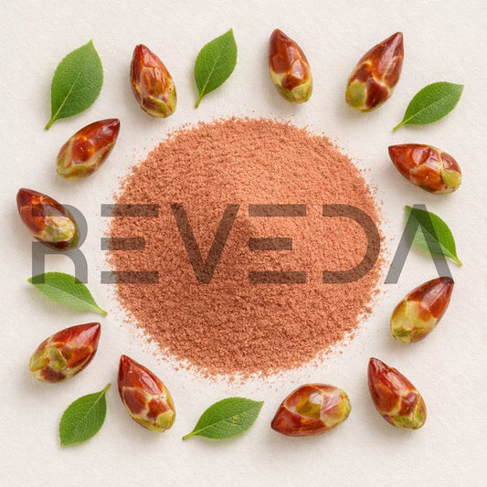 Balm of Gilead Extract Powder