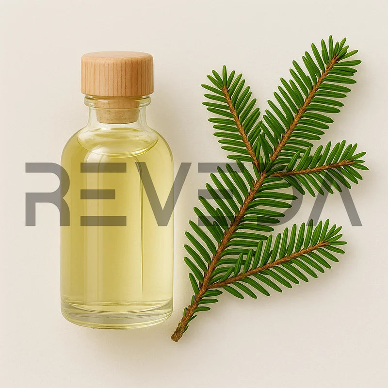 Balsam Fir Essential Oil