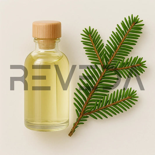 Balsam Fir Essential Oil