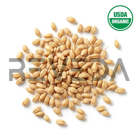 Barley Seeds