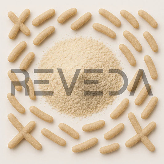 Bifidobacterium Lactis Probiotic Powder