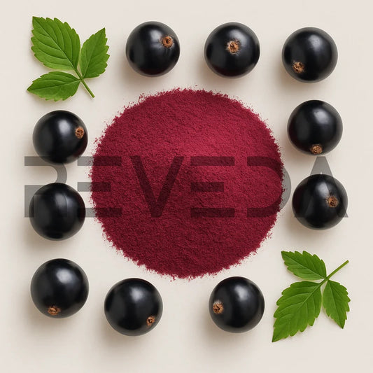 Black Currant Juice Powder