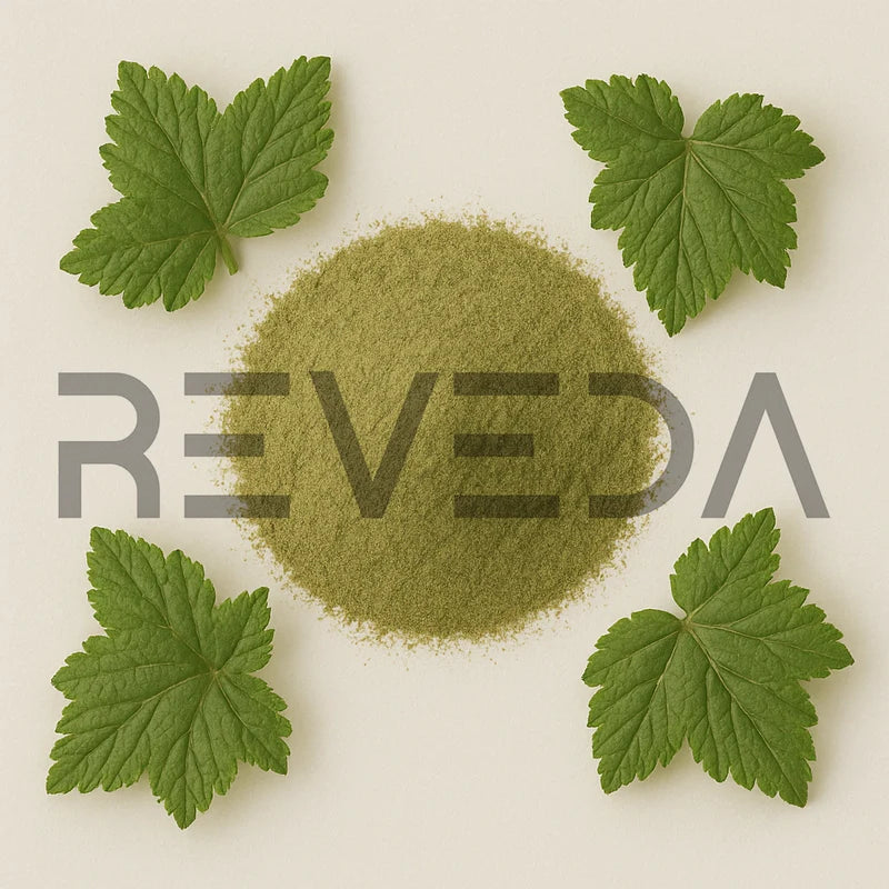 Black Currant Leaf Powder