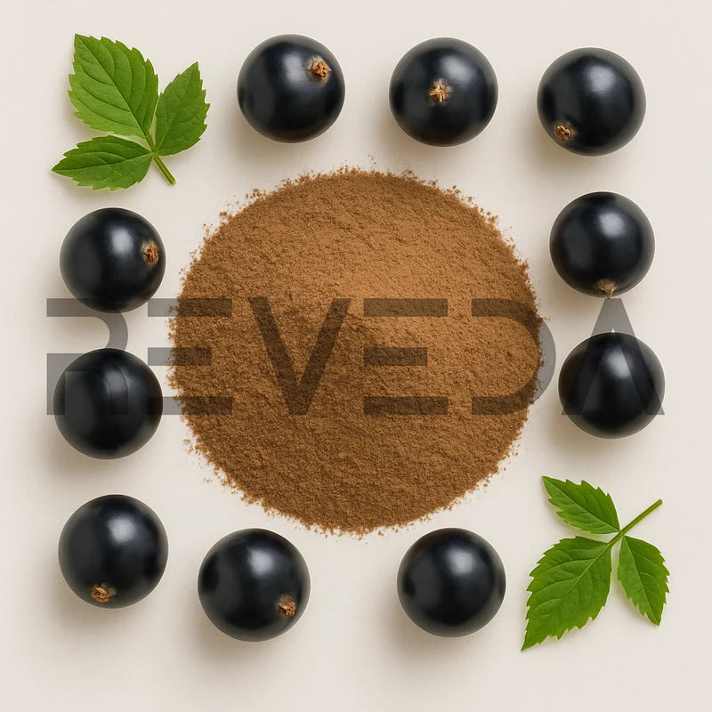 Black Currant Powder