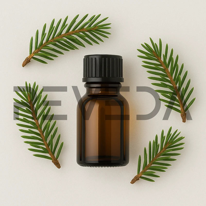 Black Spruce Essential Oil