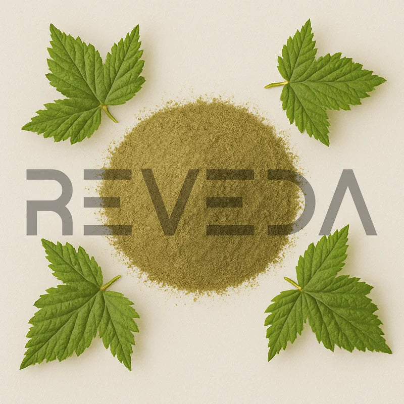 Blackberry Leaf Powder