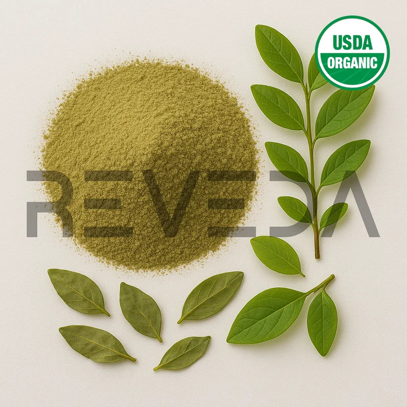 Blueberry Leaf Powder