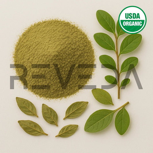 Boldo Extract Powder