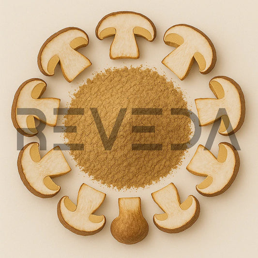 Bolete Mushroom Powder