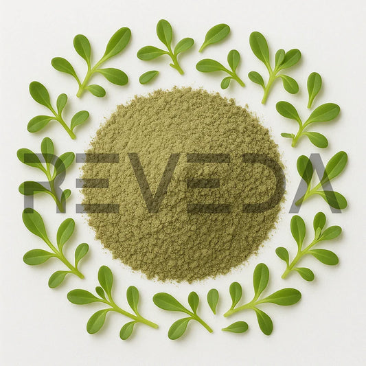Brahmi Bacopa Monnieri Extract Powder