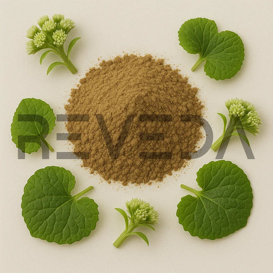 Butterbur Powder