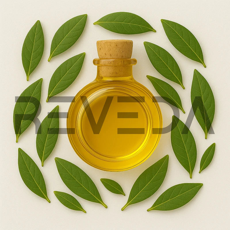 Cajeput Essential Oil