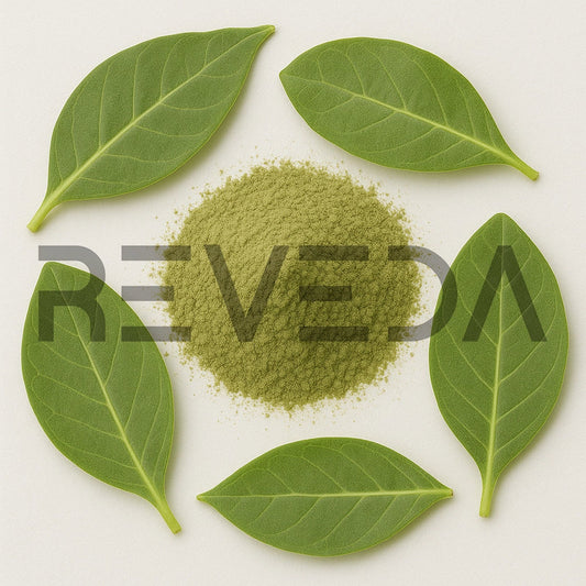 Calotropis Leaf Powder