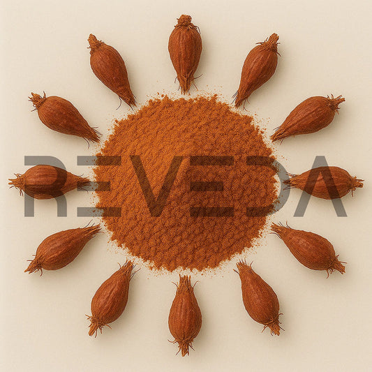 Carolina Redroot Powder