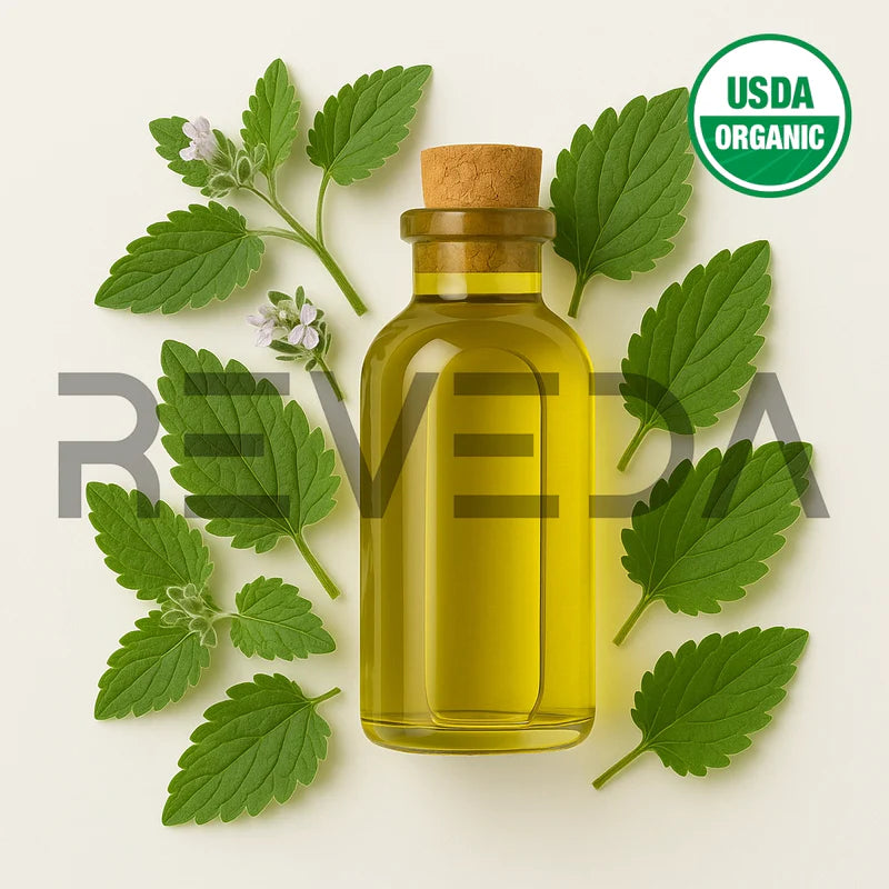 Catnip Essential Oil