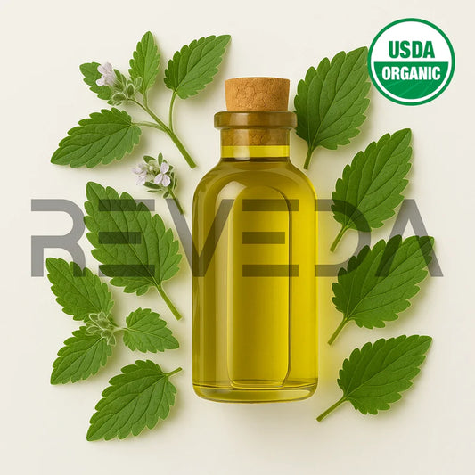 Catnip Essential Oil