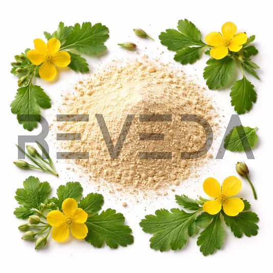 Celandine Extract Powder