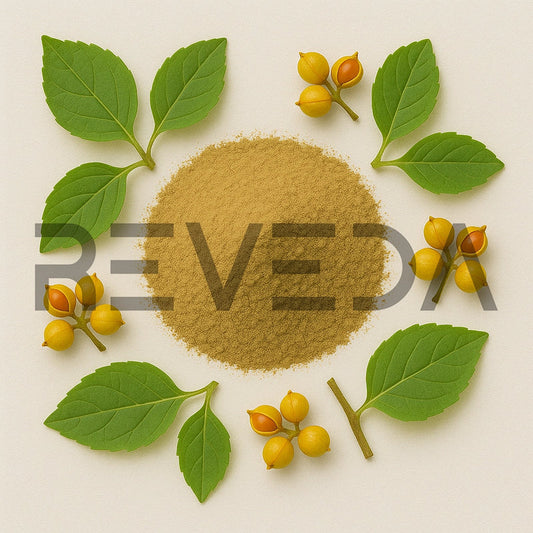 Celastrus Extract Powder