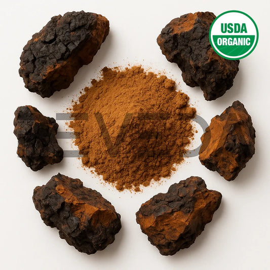 Chaga Mushroom Extract Powder