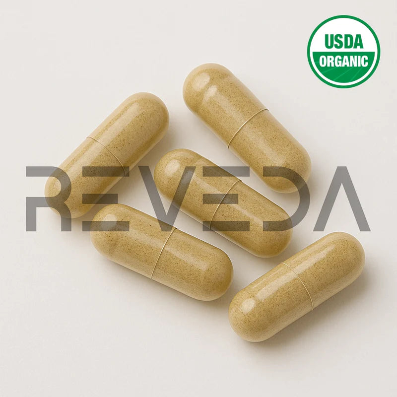 Chanca Piedra Capsules