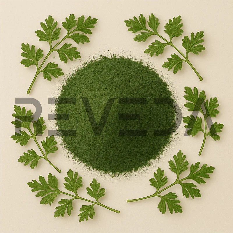 Chervil Powder