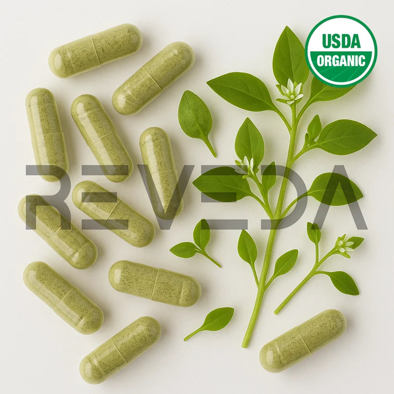Chickweed Capsules
