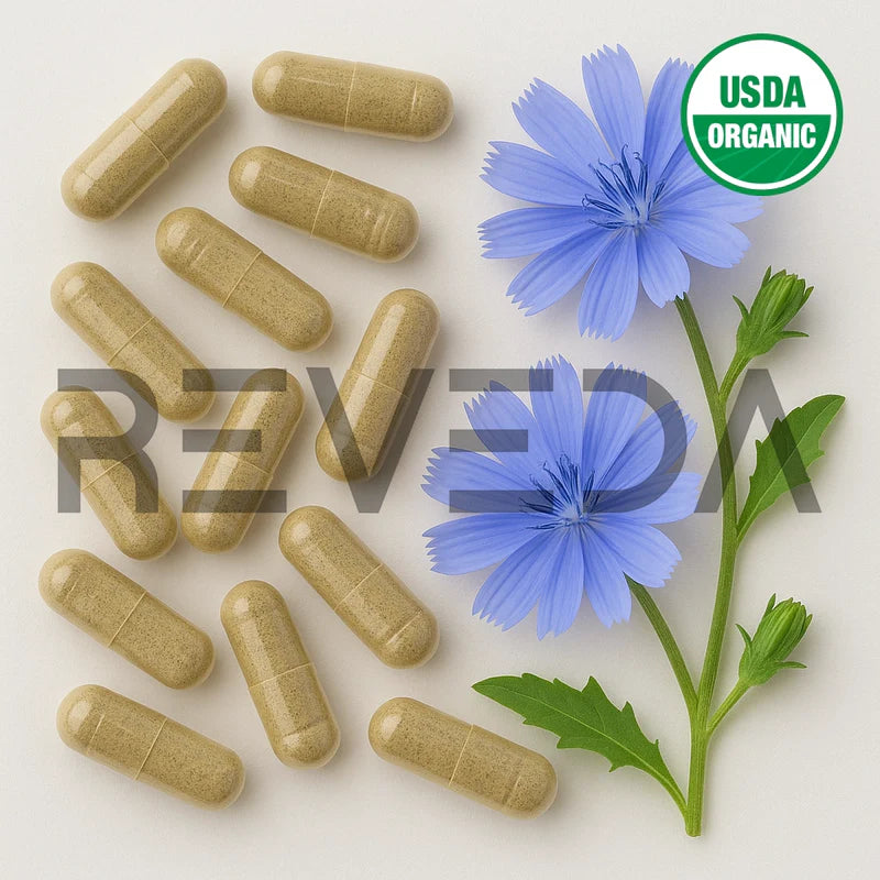 Chicory Capsules