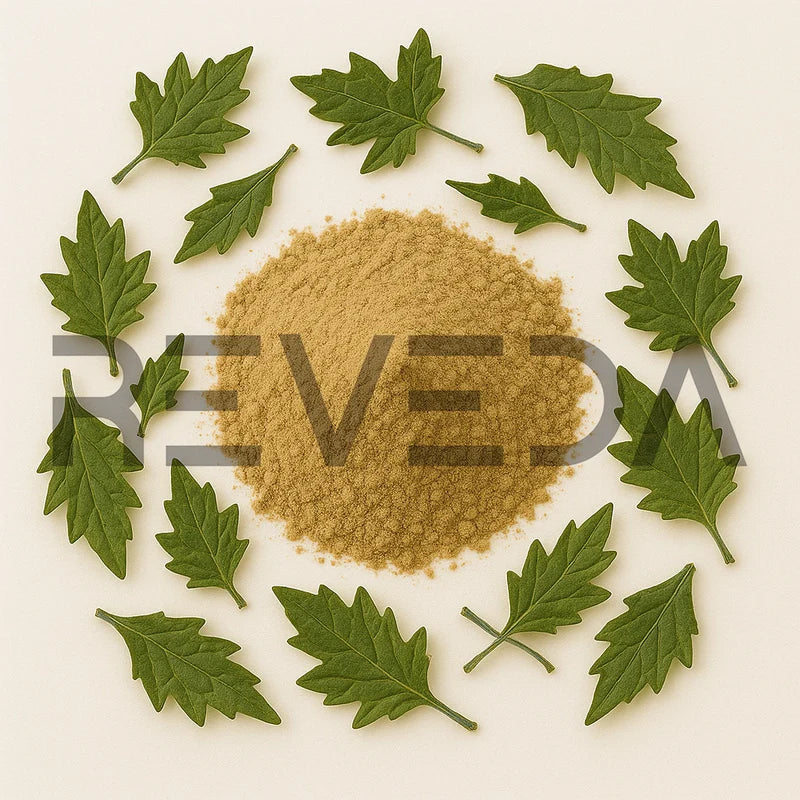 Avy Extract Chinese Ivy Extract Powder Bulk Wholesale B2B Suppliers – Reveda.Co