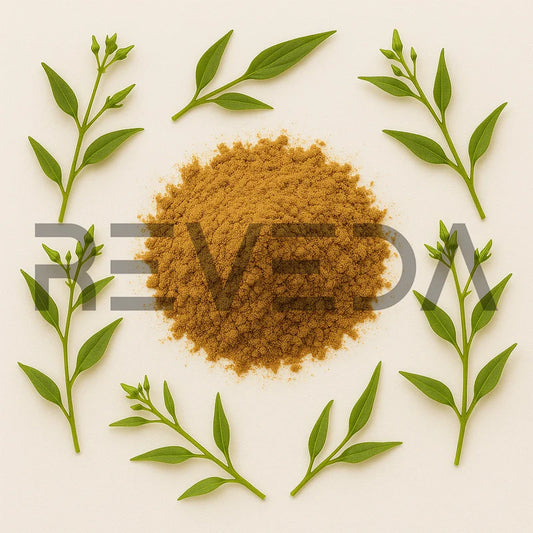 Chirata Extract Powder