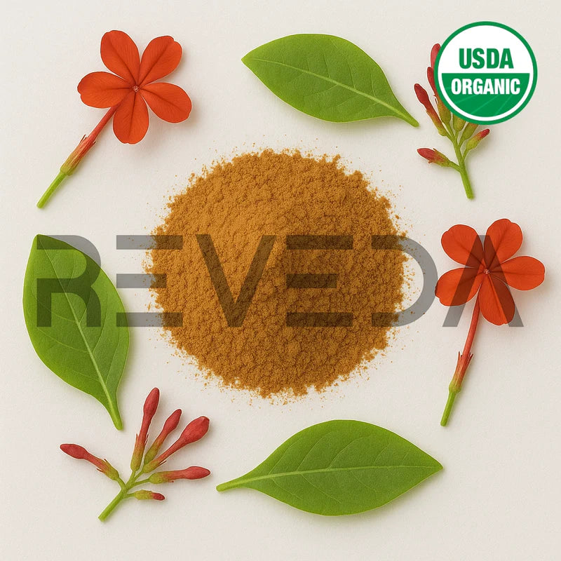 Chitrak Extract Powder