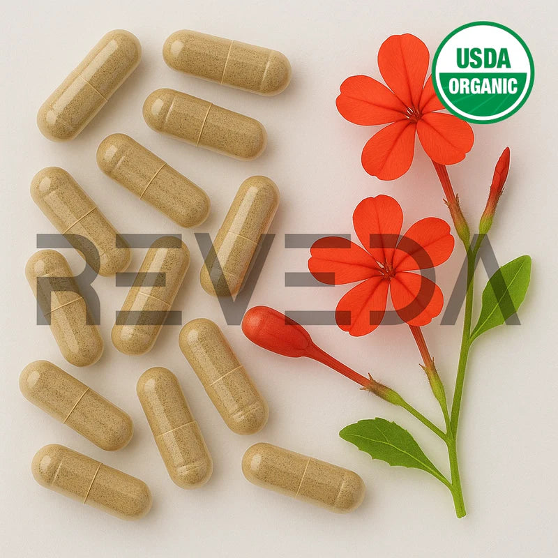 Chitraka Capsules