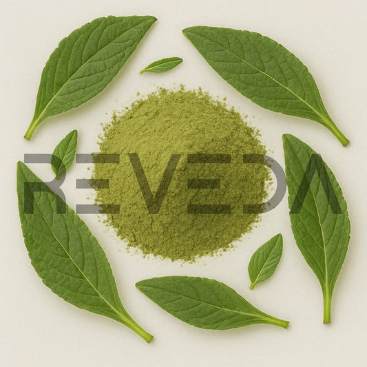 Comfrey Leaf Extract Powder