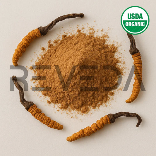 Cordyceps Mushroom Extract Powder