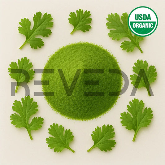Coriander Juice Powder