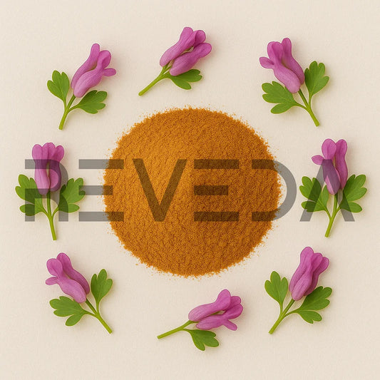 Corydalis Extract Powder