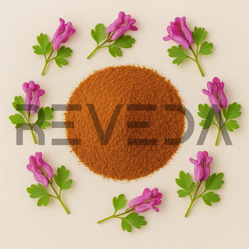 Corydalis Powder