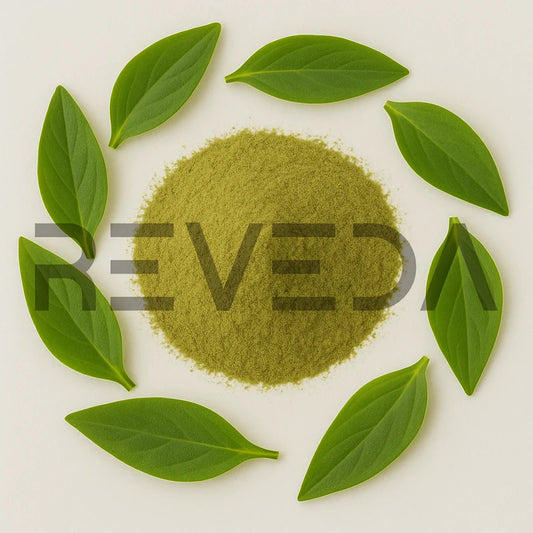 Costus Igneus Leaf Extract Powder