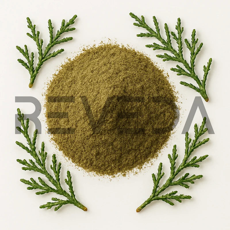 Cypress Powder