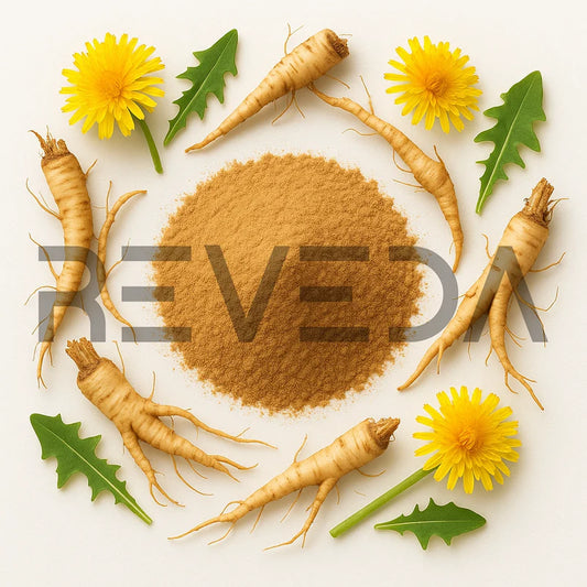 Dandelion Root Extract Powder