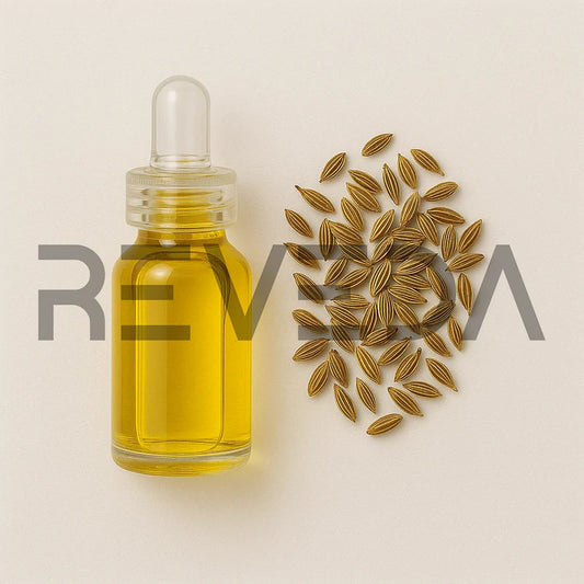 Dill Seed Oil