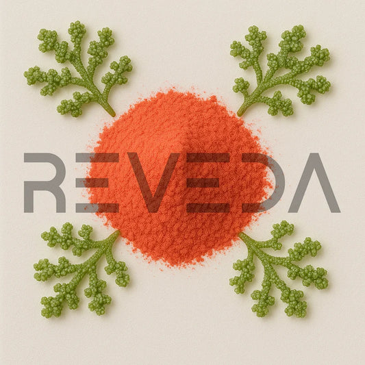 Dunaliella Salina Powder