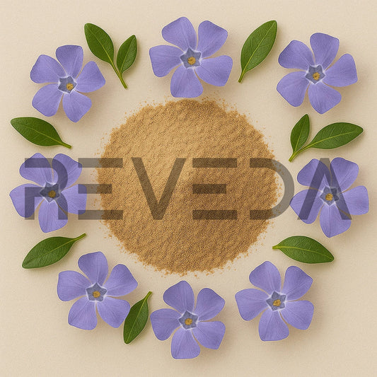 Dwarf Periwinkle Powder