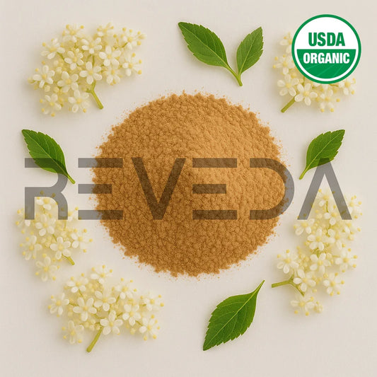 Elderberry Flower Extract Powder