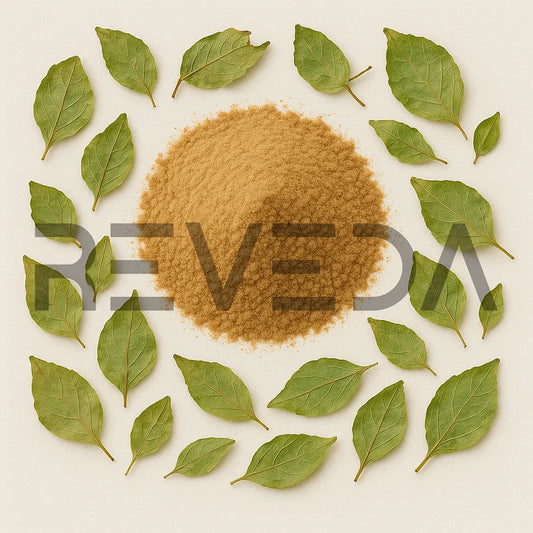 Epimedium Extract Powder